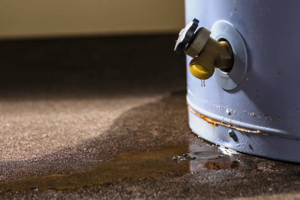 Best Fire Damage Restoration  in Buellton, CA