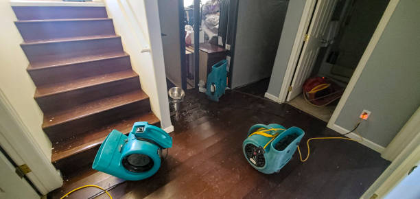 Best Water damage cleanup near me  in Buellton, CA