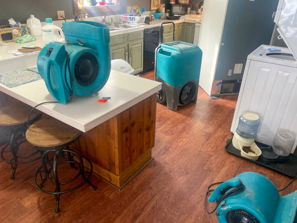 Best Mold removal after water damage  in Buellton, CA