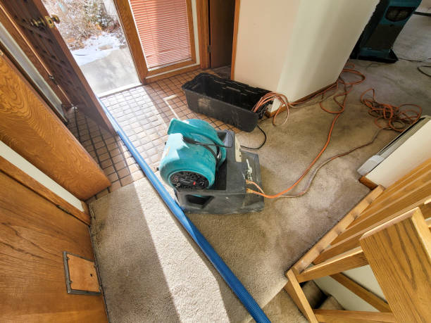 Best Ceiling water damage repair  in Buellton, CA