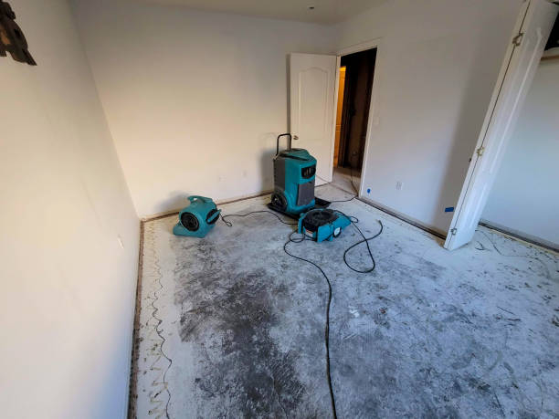 Best Professional water damage repair  in Buellton, CA