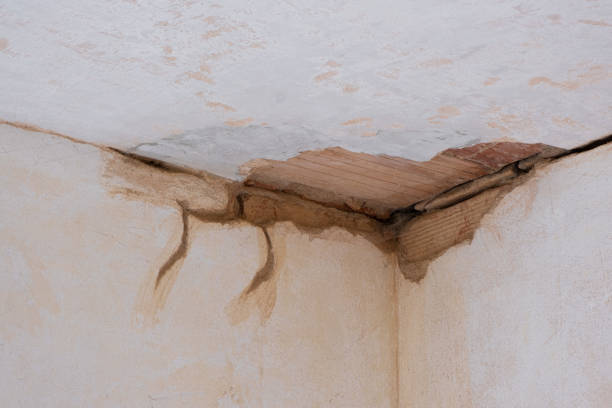Best Emergency water damage restoration  in Buellton, CA