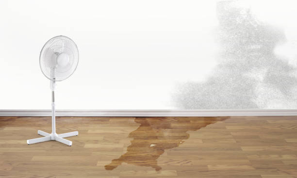 Best Water damage restoration insurance claims  in Buellton, CA