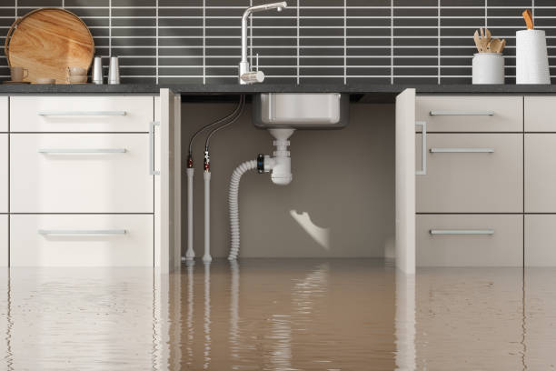 Best Residential water damage restoration  in Buellton, CA