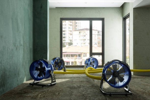 Best Water damage restoration near me  in Buellton, CA