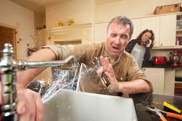 Best Mold removal after water damage  in Buellton, CA